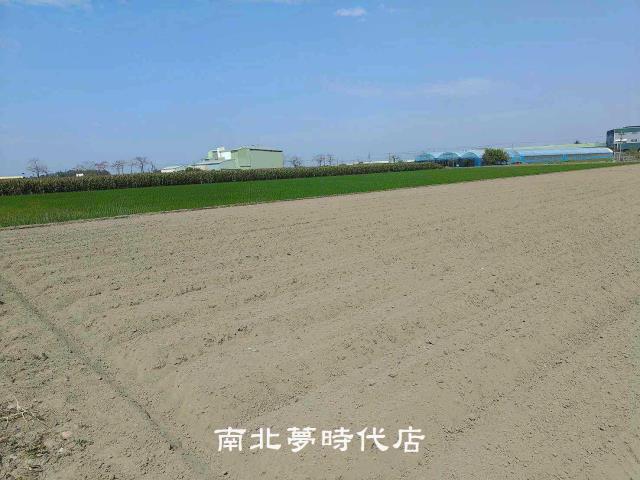 佳里農地-6