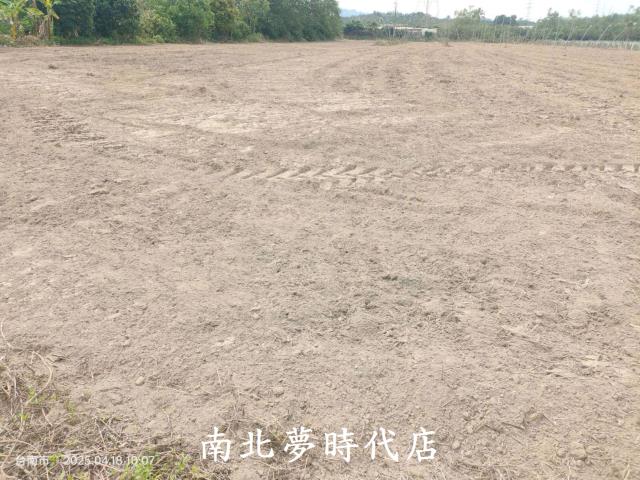 玉井農地-1