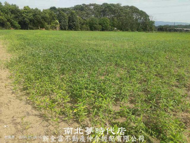 玉井農地-8