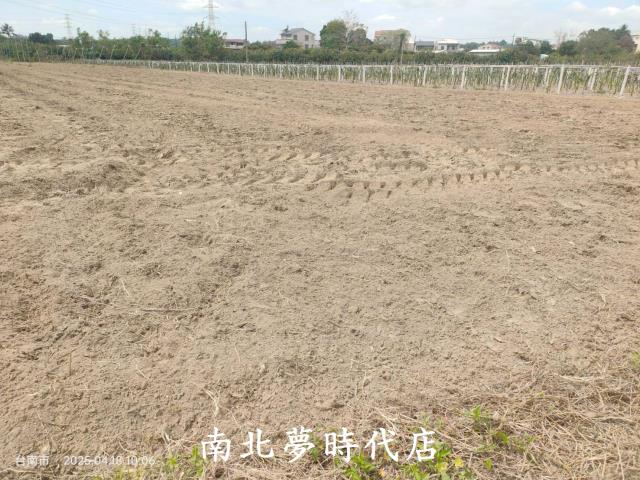 玉井農地-2