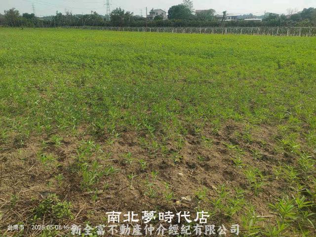 玉井農地-9