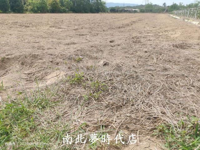 玉井農地-4