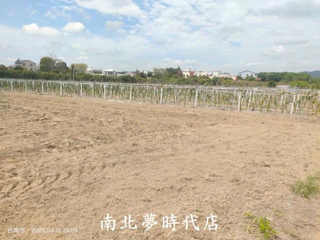 玉井農地-5