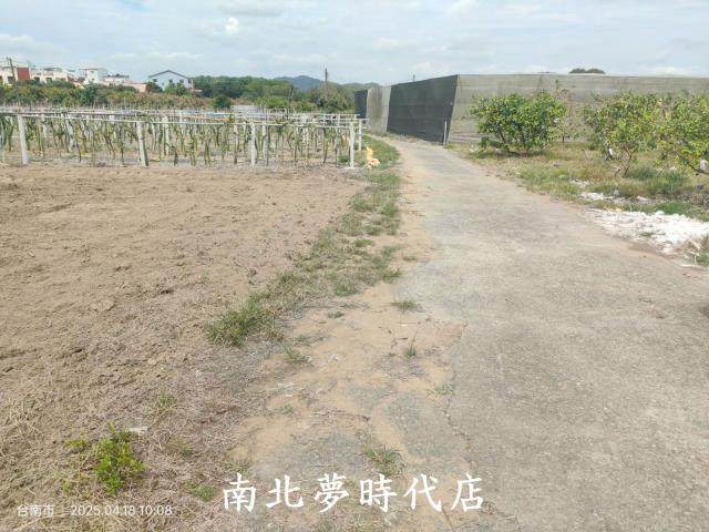 玉井農地-6