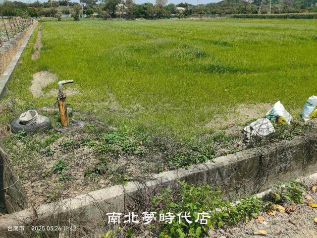 台南新化農地-8