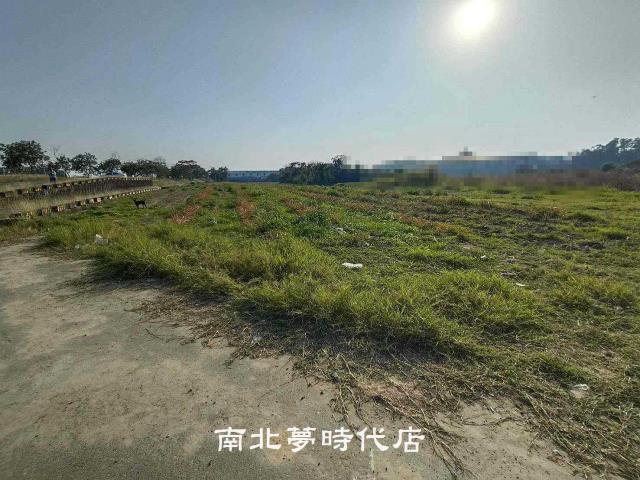 歸仁農地-9