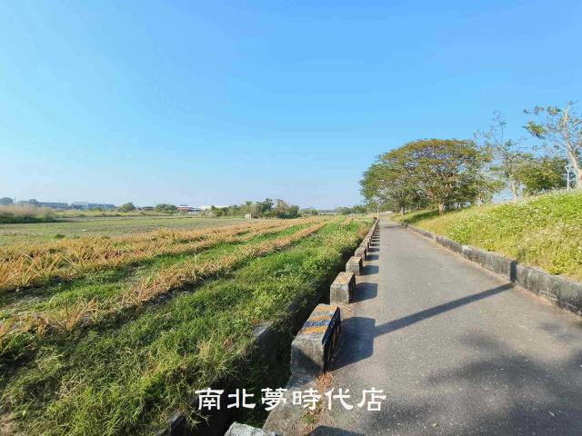 歸仁農地-4