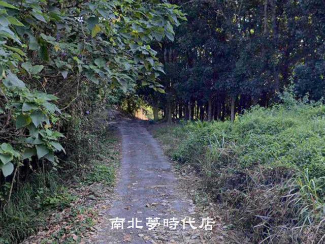 台南農地-0