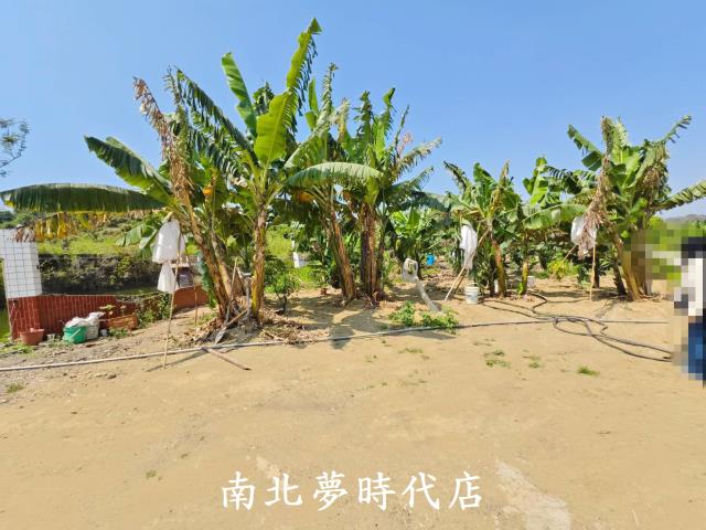 台南新化農地-11