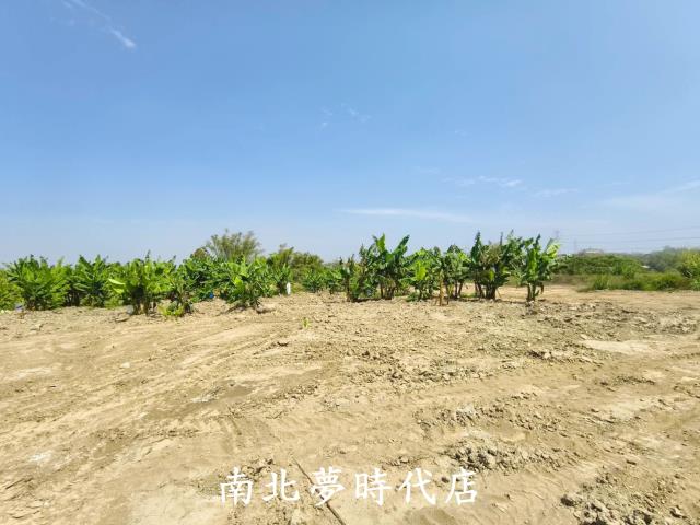 台南新化農地-1