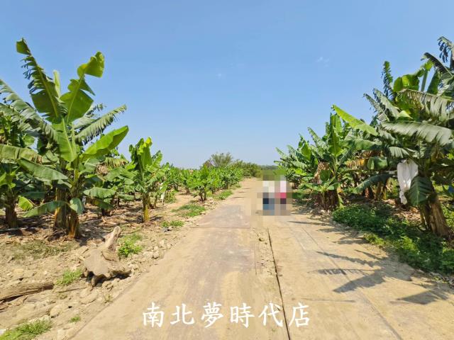 台南新化農地-3