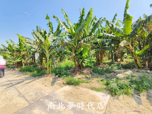台南新化農地-4