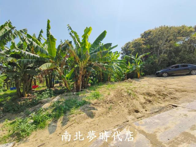 台南新化農地-5