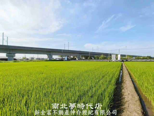 台南六甲農地-5