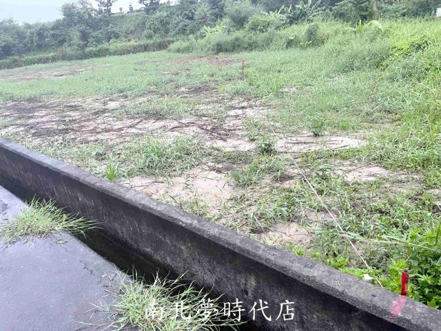 台南新化農地-3