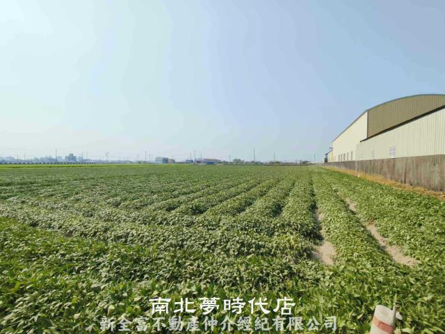 台南新市農地-2