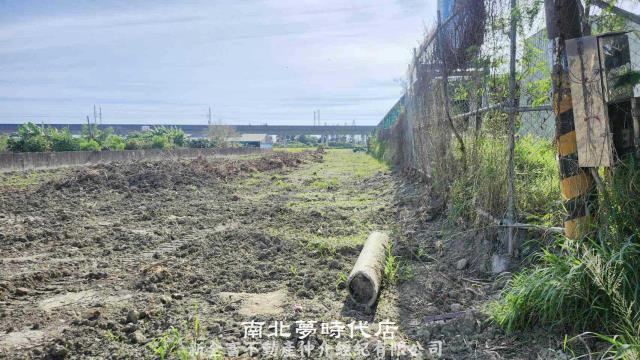 阿蓮農地-4