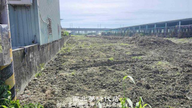 阿蓮農地-5