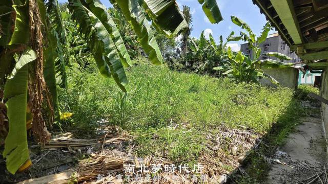 台南農地-1