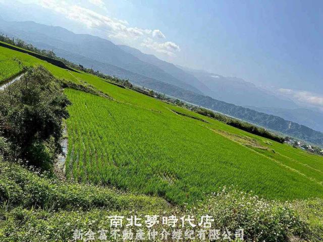 玉里農地-0