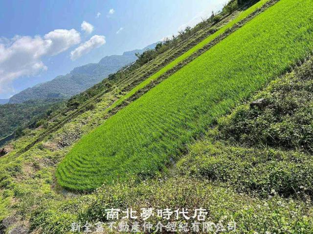 玉里農地-2