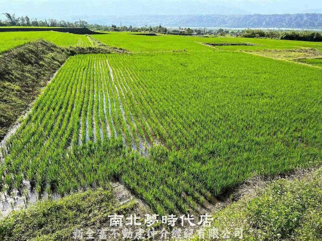 玉里農地-5