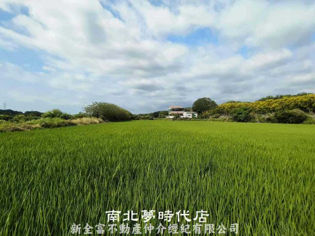 台南六甲農地-5