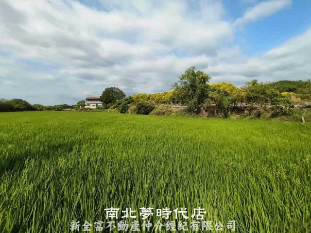 台南六甲農地-8