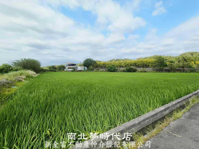 台南六甲農地-3