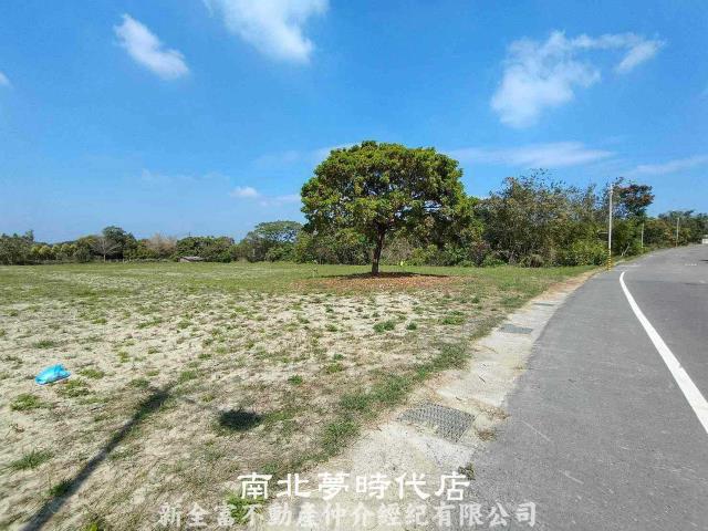 台南六甲農地-9