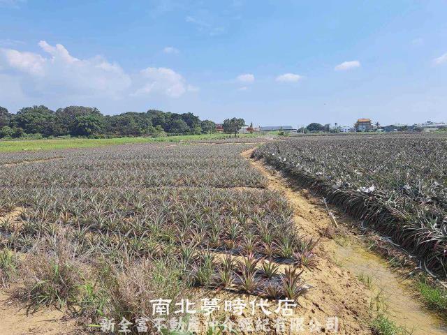 關廟農地-0