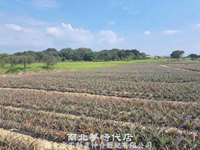 關廟農地-2