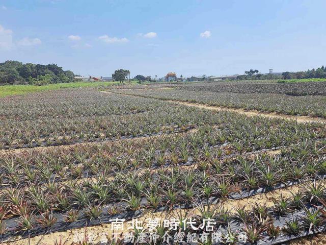 關廟農地-3