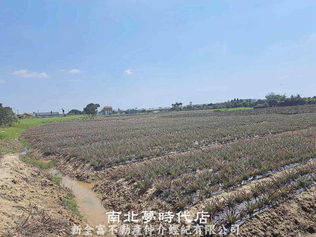關廟農地-4