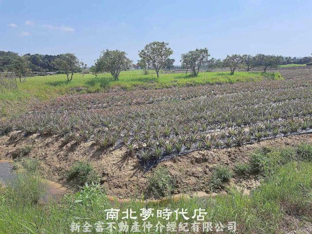 關廟農地-6