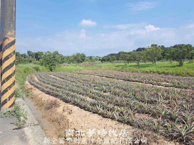 關廟農地-7