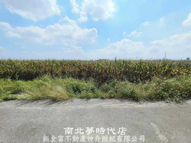 七股農地-3
