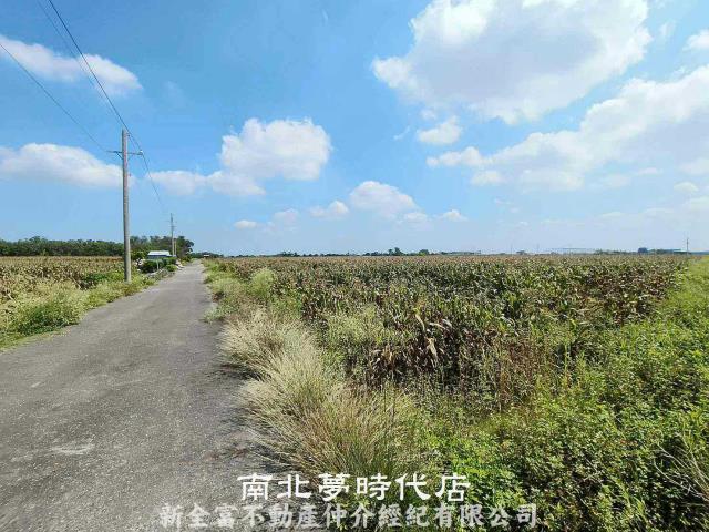 七股農地-6