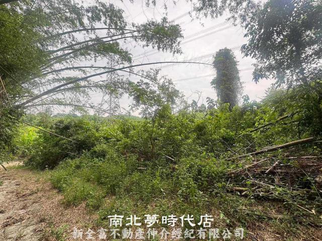 左鎮農地-9