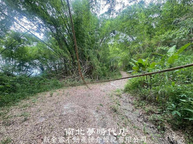 左鎮農地-10