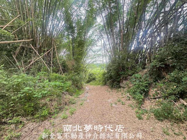 左鎮農地-1