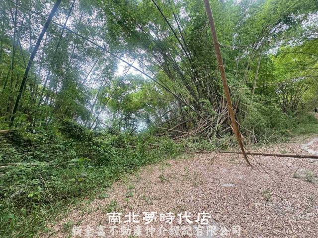 左鎮農地-2