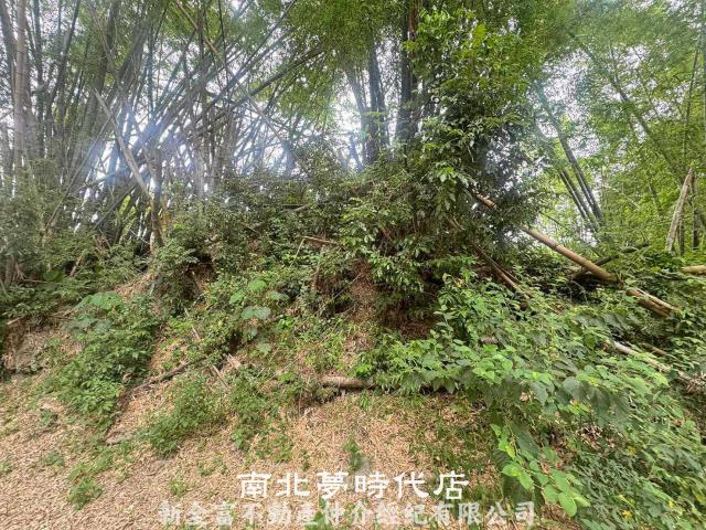 左鎮農地-3