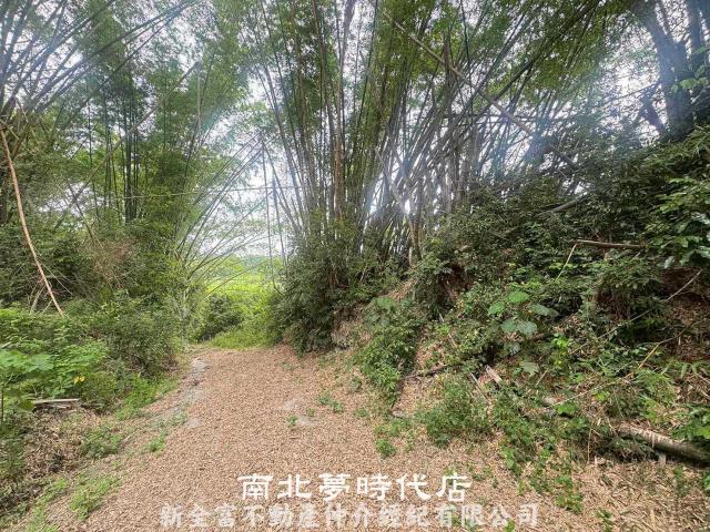 左鎮農地-4