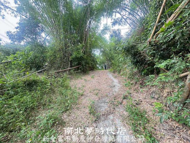 左鎮農地-5