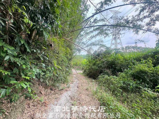 左鎮農地-6