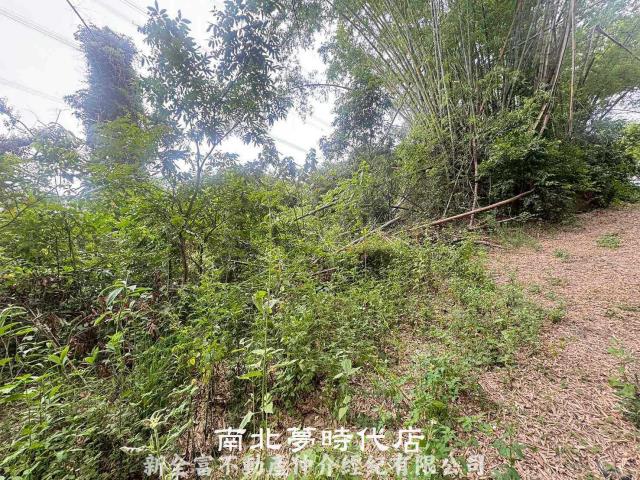 左鎮農地-7