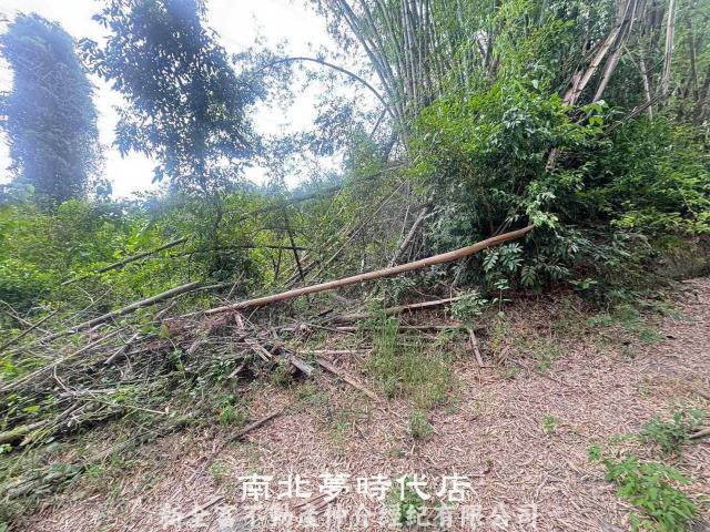 左鎮農地-8