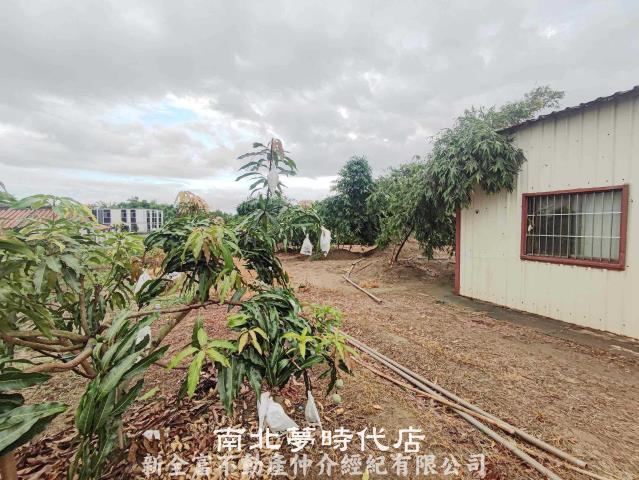 台南關廟農地-0