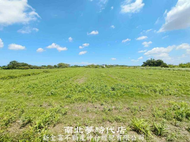 台南鹽水農地-4
